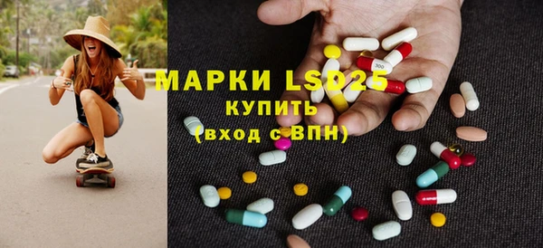 хмурый Алзамай