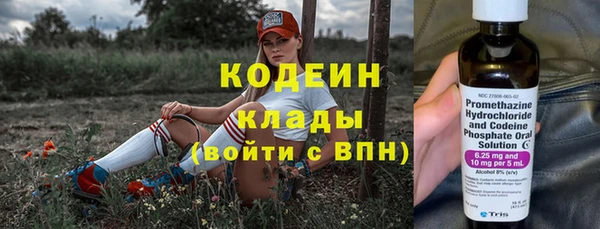 хмурый Алзамай