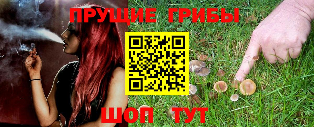 Галлюциногенные грибы Magic Shrooms  Вход с VPN  Галлюциногенные грибы Cubensis  Сорочинск 